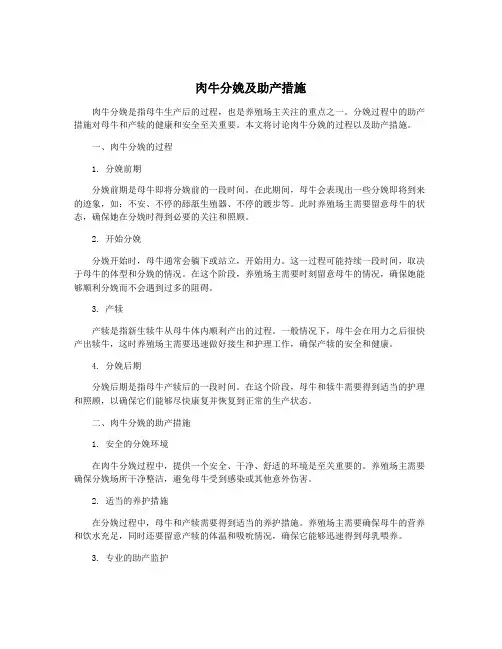 肉牛分娩及助产措施