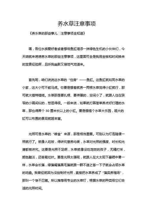 养水草注意事项