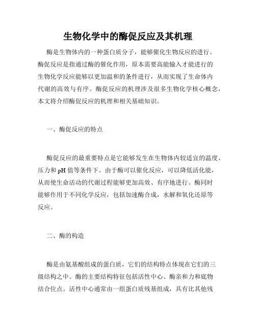 生物化学中的酶促反应及其机理
