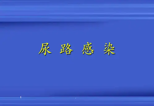 绿脓杆菌PPT课件