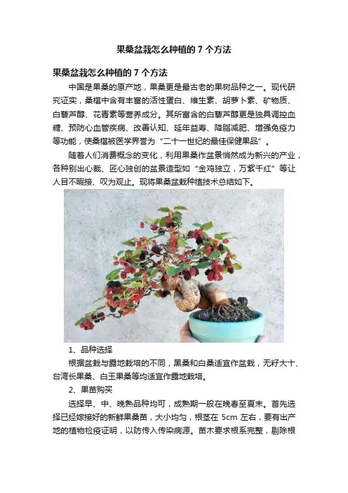 果桑盆栽怎么种植的7个方法