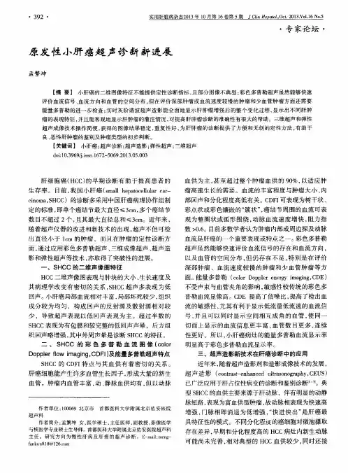 原发性小肝癌超声诊断新进展