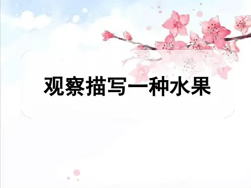 观察描写水果作文作文课件