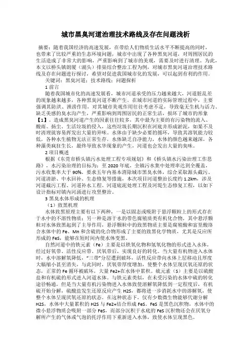 城市黑臭河道治理技术路线及存在问题浅析