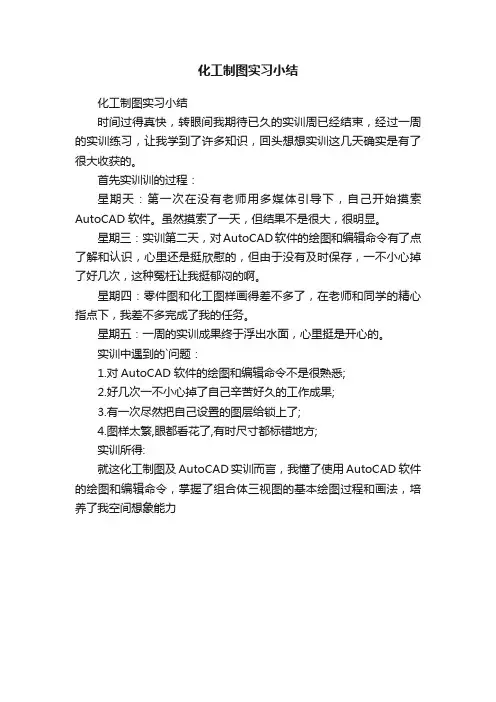 化工制图实习小结