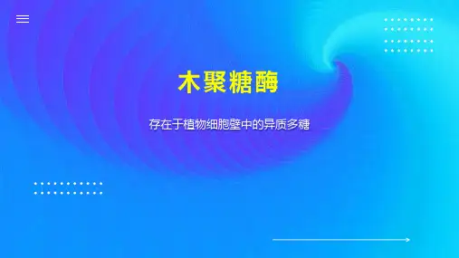 木聚糖酶    