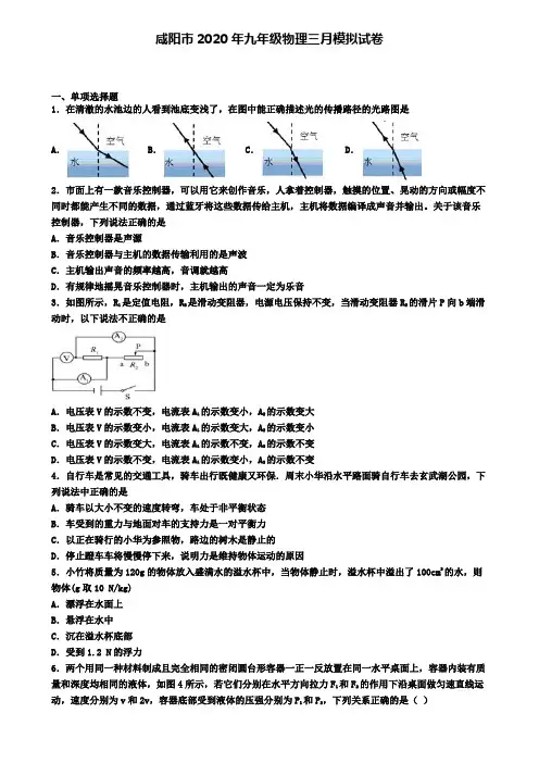 咸阳市2020年九年级物理三月模拟试卷