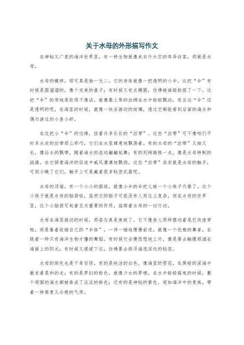 关于水母的外形描写作文