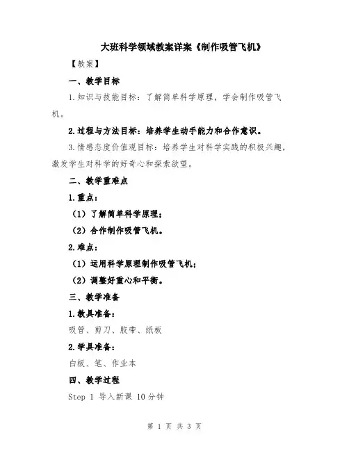 大班科学领域教案详案《制作吸管飞机》