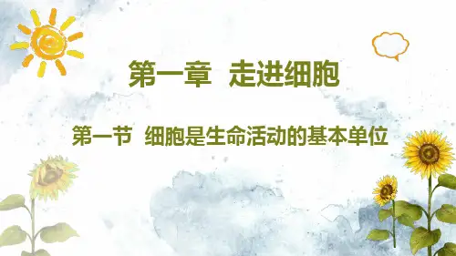 1.1 细胞是生命活动的基本单位(共17张PPT)课件【新教材】人教版(2019)高中生物必修一