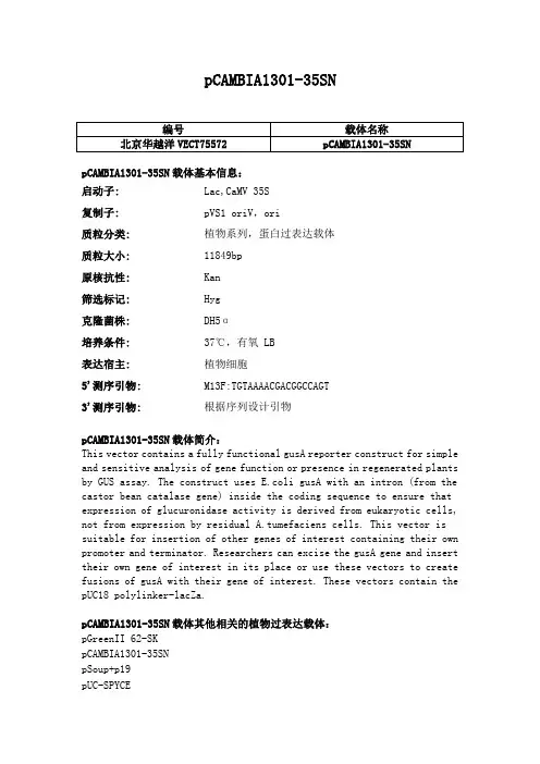 pCAMBIA1301-35SN使用说明