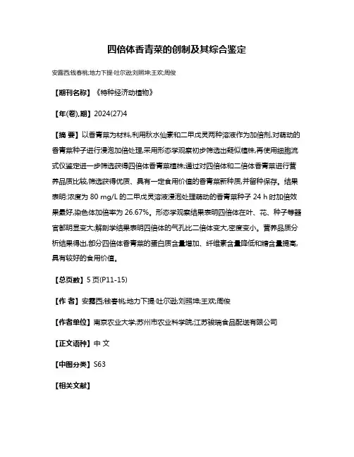 四倍体香青菜的创制及其综合鉴定