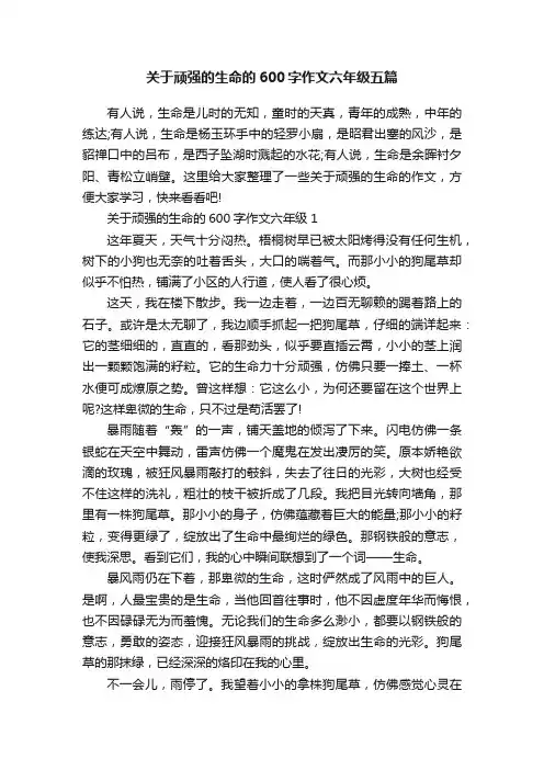 关于顽强的生命的600字作文六年级五篇