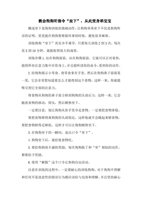 教会狗狗听指令“坐下”,从此变身乖宝宝