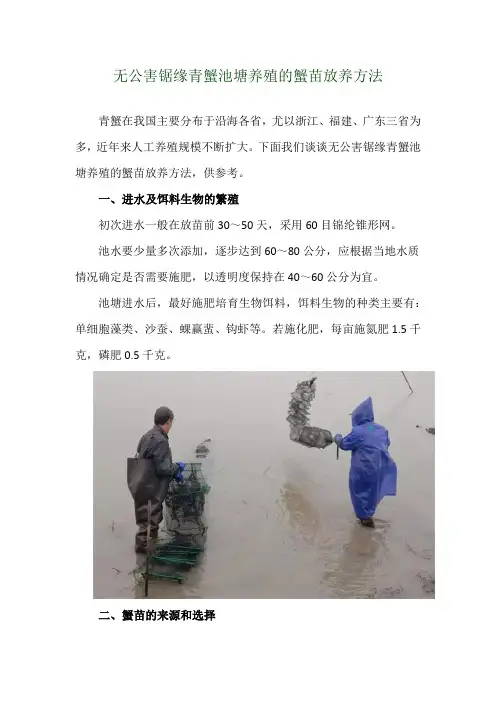 无公害锯缘青蟹池塘养殖的蟹苗放养方法