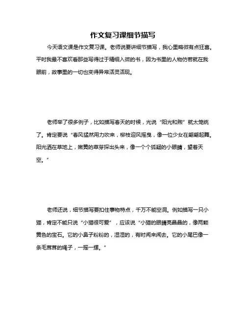 作文复习课细节描写