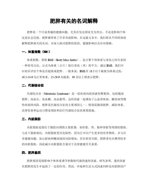 肥胖有关的名词解释