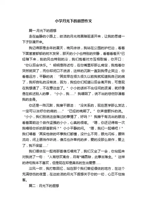 小学月光下的遐想作文