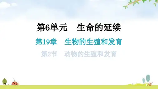 北师大版八年级生物上册第6单元第19章第2节动物的生殖和发育教学课件