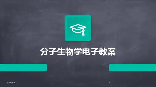2024年分子生物学电子教案