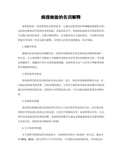 病理检验的名词解释