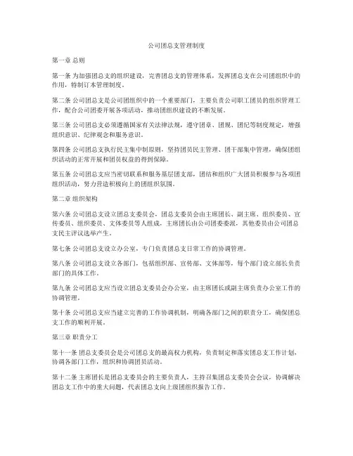 公司团总支管理制度