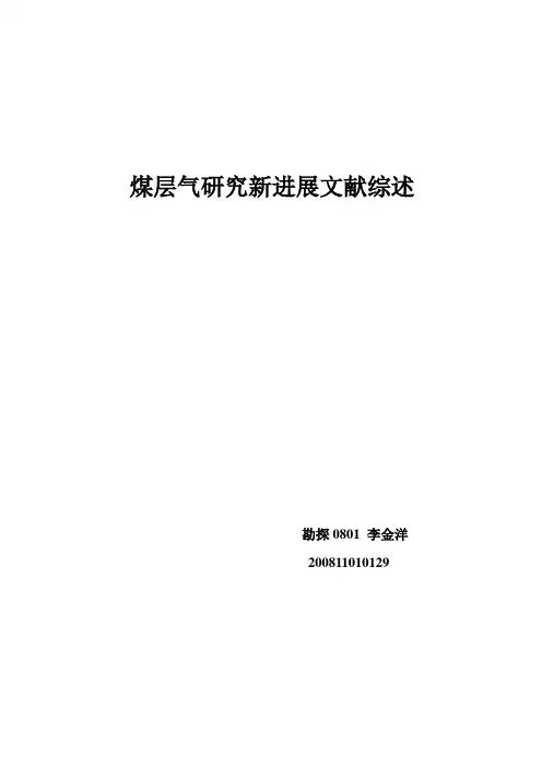 煤层气研究新进展文献综述