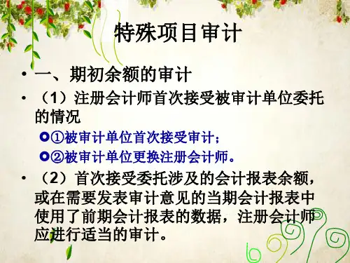 特殊项目审计培训(ppt 117页)