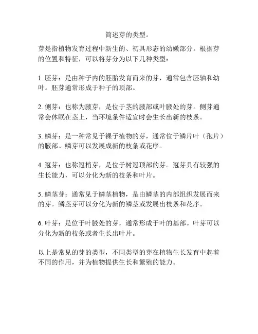 简述芽的类型。