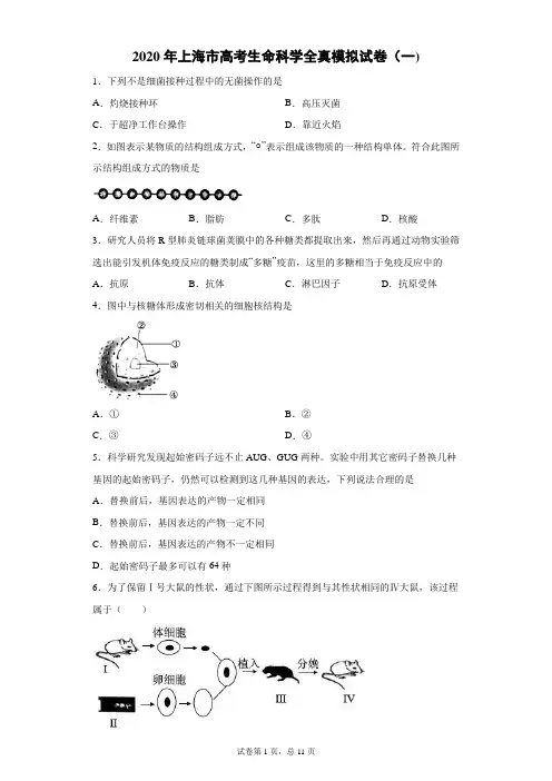 2020年上海市高考生命科学全真模拟试卷(一)(带答案解析)