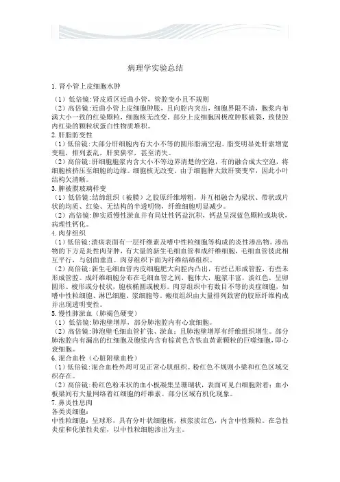 病理学实验总结[精品文档]