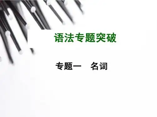 2015中考英语语法专题复习_专题一 名词(共41张PPT)