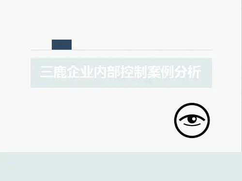 三鹿内部控制案例分析