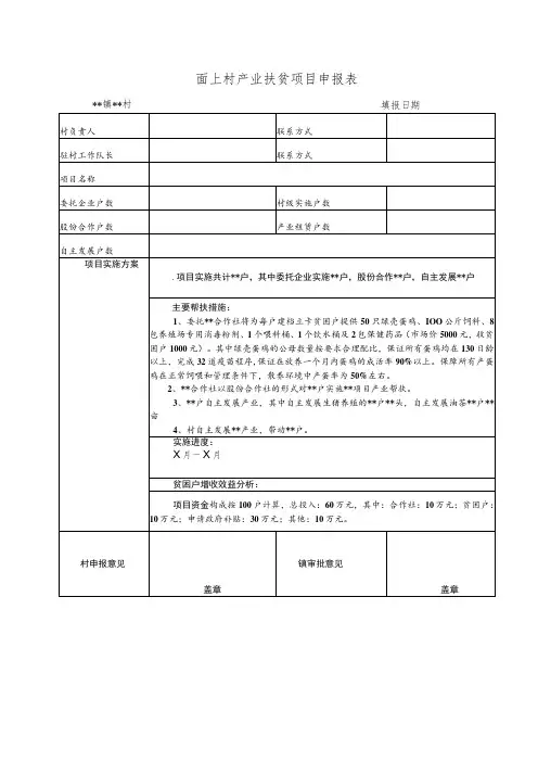 面上村产业扶贫项目申报表
