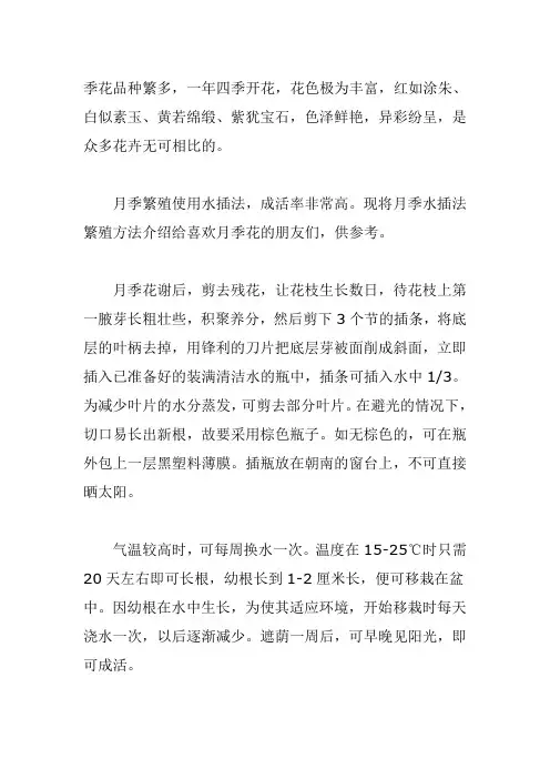 月季水插繁殖