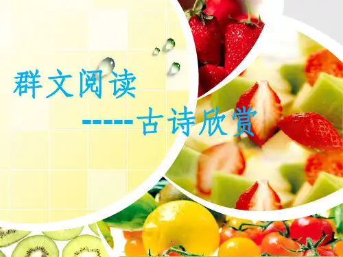 小学五年级群文阅读ppt课件