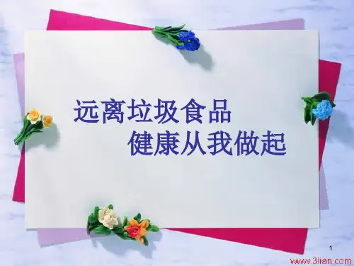 远离垃圾食品  健康从我做起ppt课件