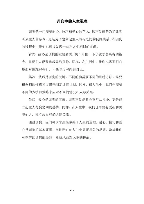 训狗中的人生道理