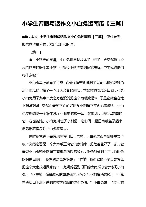 小学生看图写话作文小白兔运南瓜【三篇】