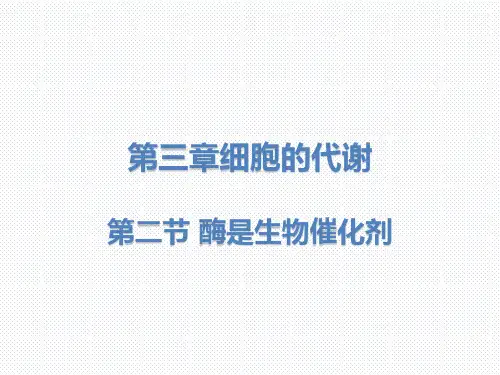 【课件】 酶是生物催化剂   课件-高一上学期 生物浙科版 必修1