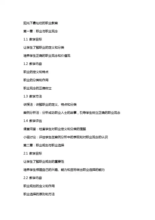 阳光下最灿烂的职业教案