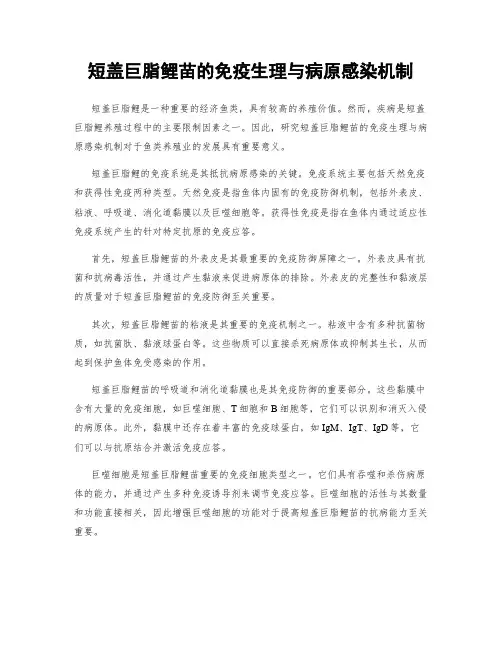 短盖巨脂鲤苗的免疫生理与病原感染机制