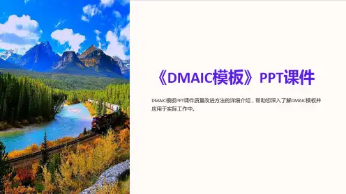 《DMAIC模板》课件