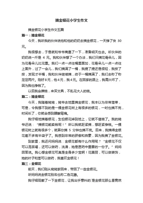 摘金银花小学生作文