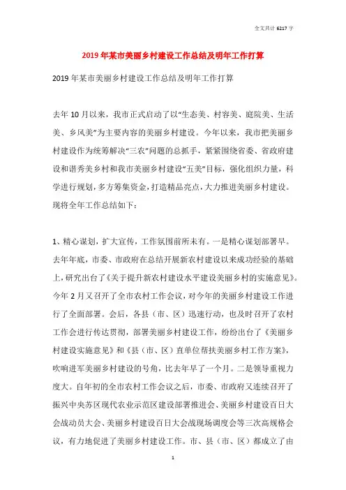 2019年某市美丽乡村建设工作总结及明年工作打算