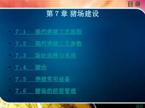 现代养猪工艺流程