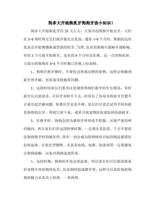 狗多大开始换乳牙狗狗牙齿小知识!