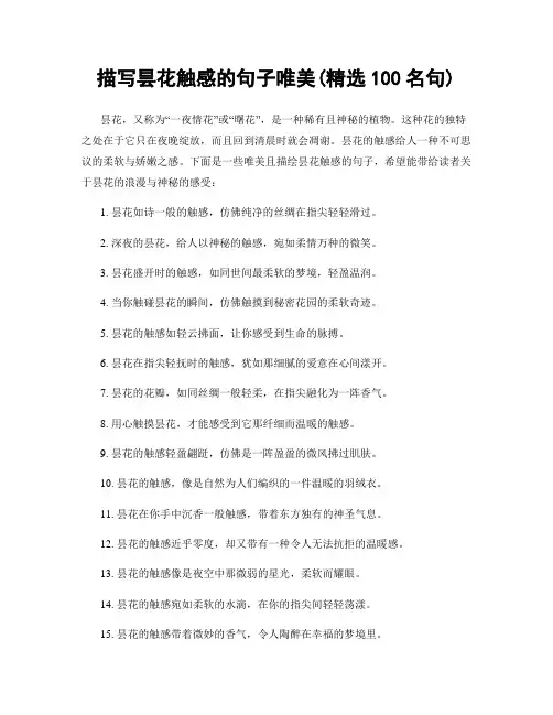 描写昙花触感的句子唯美(精选100句)