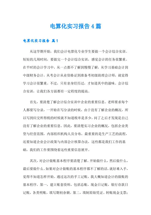 电算化实习报告4篇