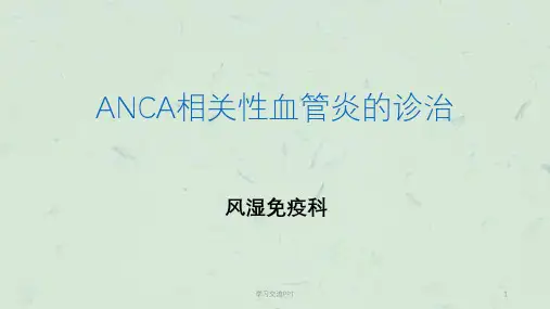 ANCA相关性血管炎课件
